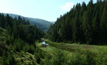 Rezervaţia Cheile Tătarului