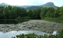 Rezervaţia Naturală Lacul Morărenilor